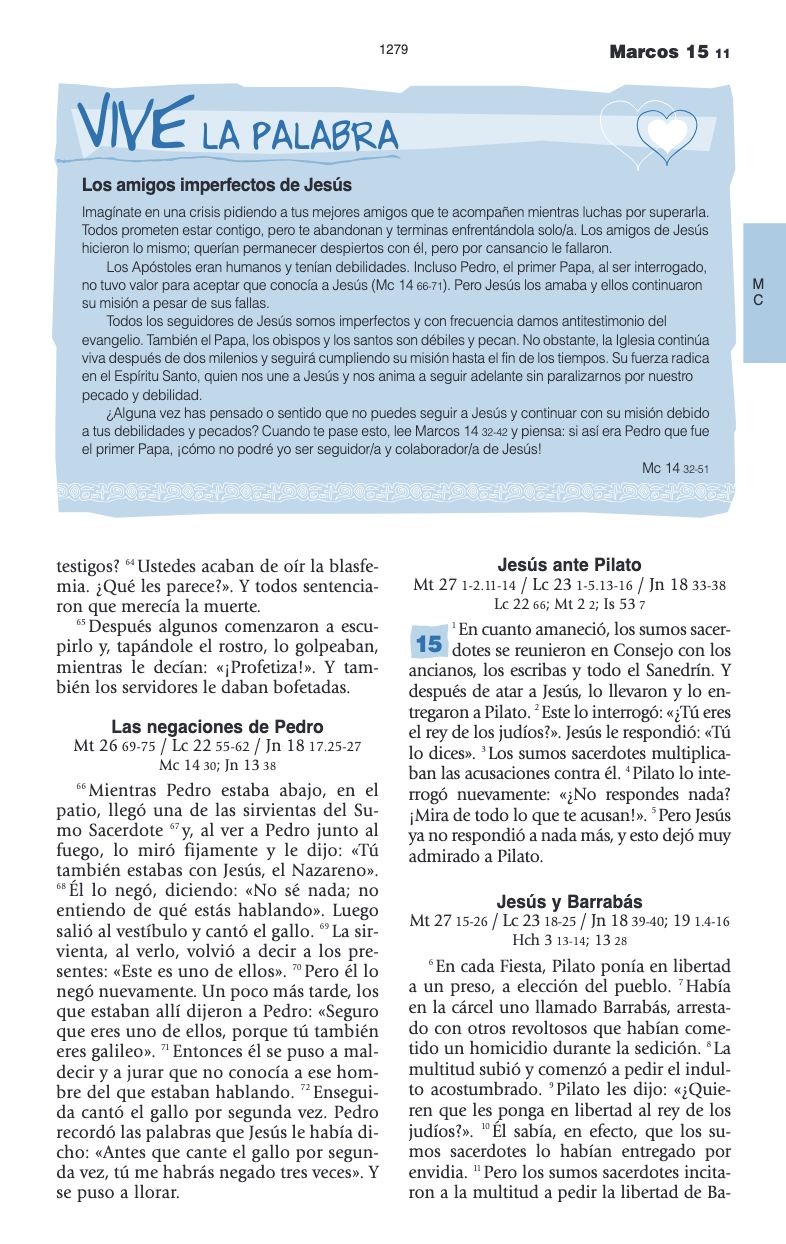 Biblia Catolica para Jovenes Letra Grande