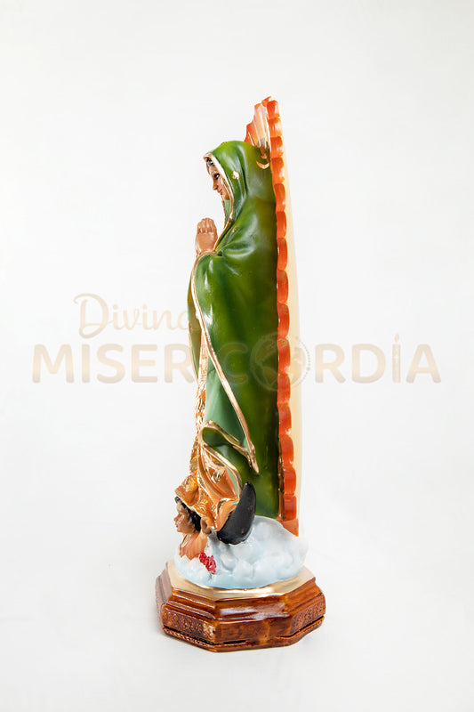 Virgen de Guadalupe 30 RR TV