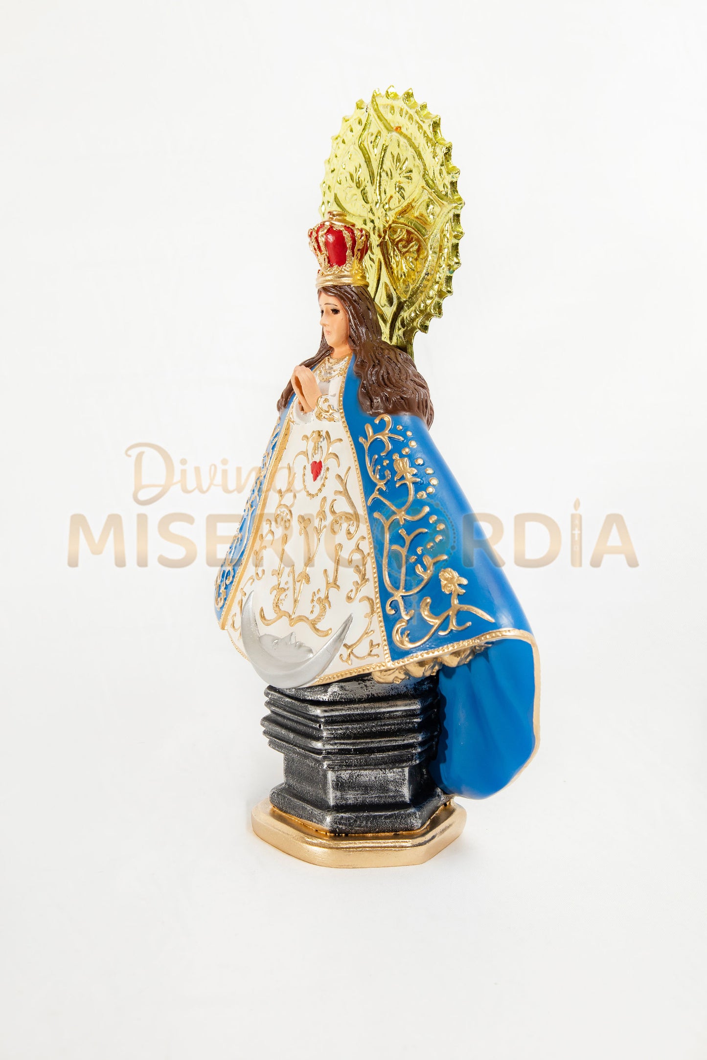 Virgen de la Salud IR 30 TE