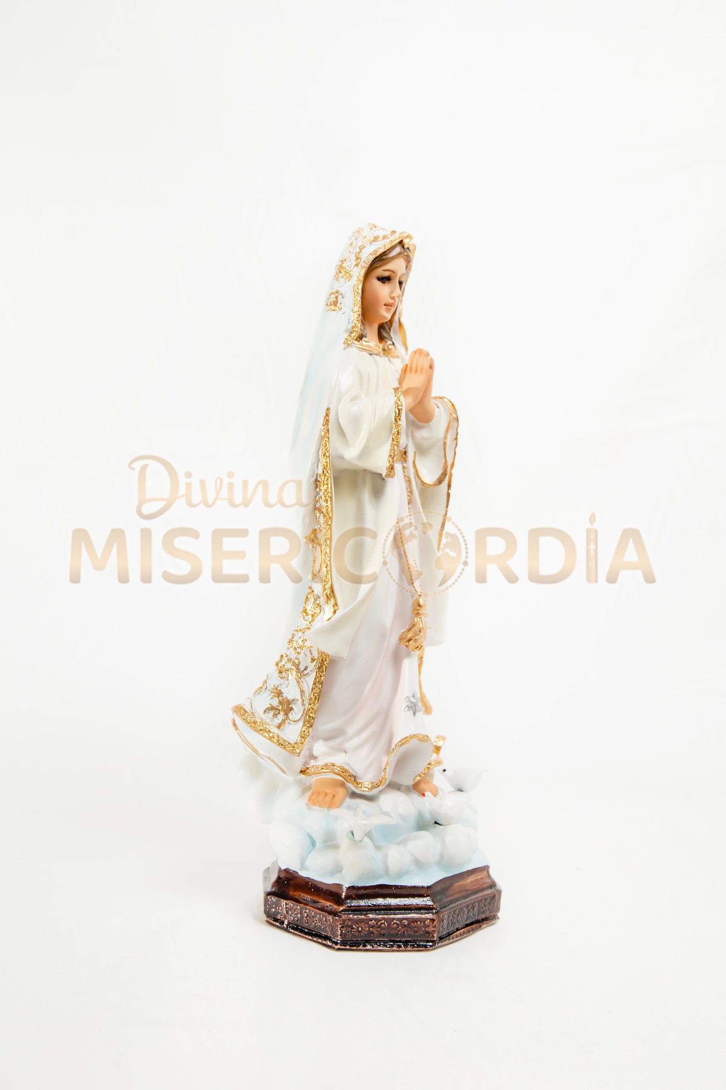 Virgen de Fátima Palomas 30 TV