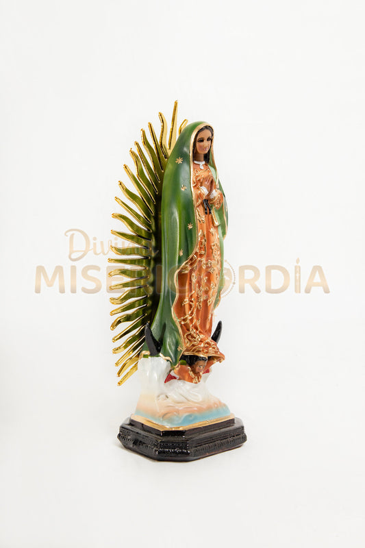 Virgen de Guadalupe 30 RP TV