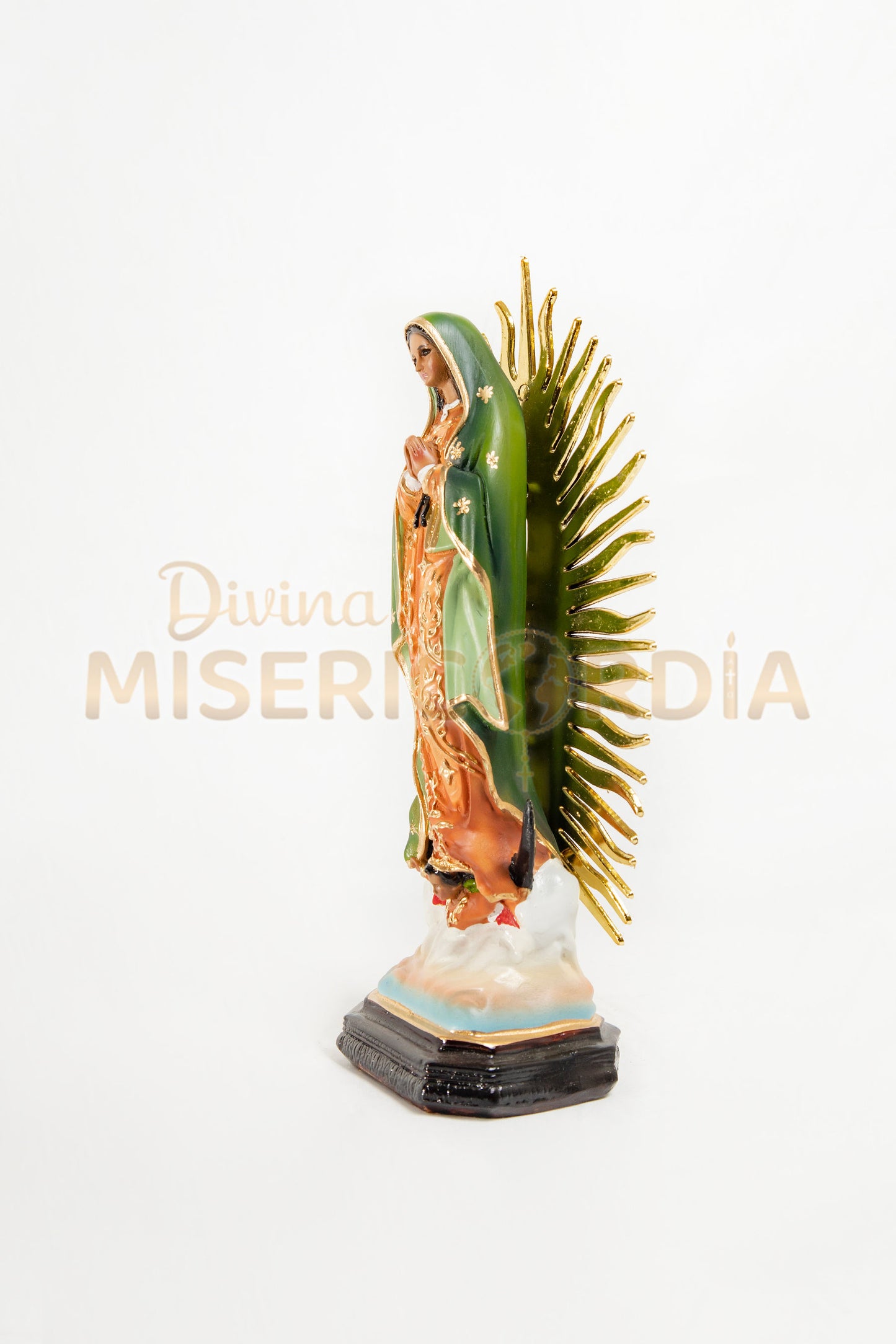 Virgen de Guadalupe 30 RP TV