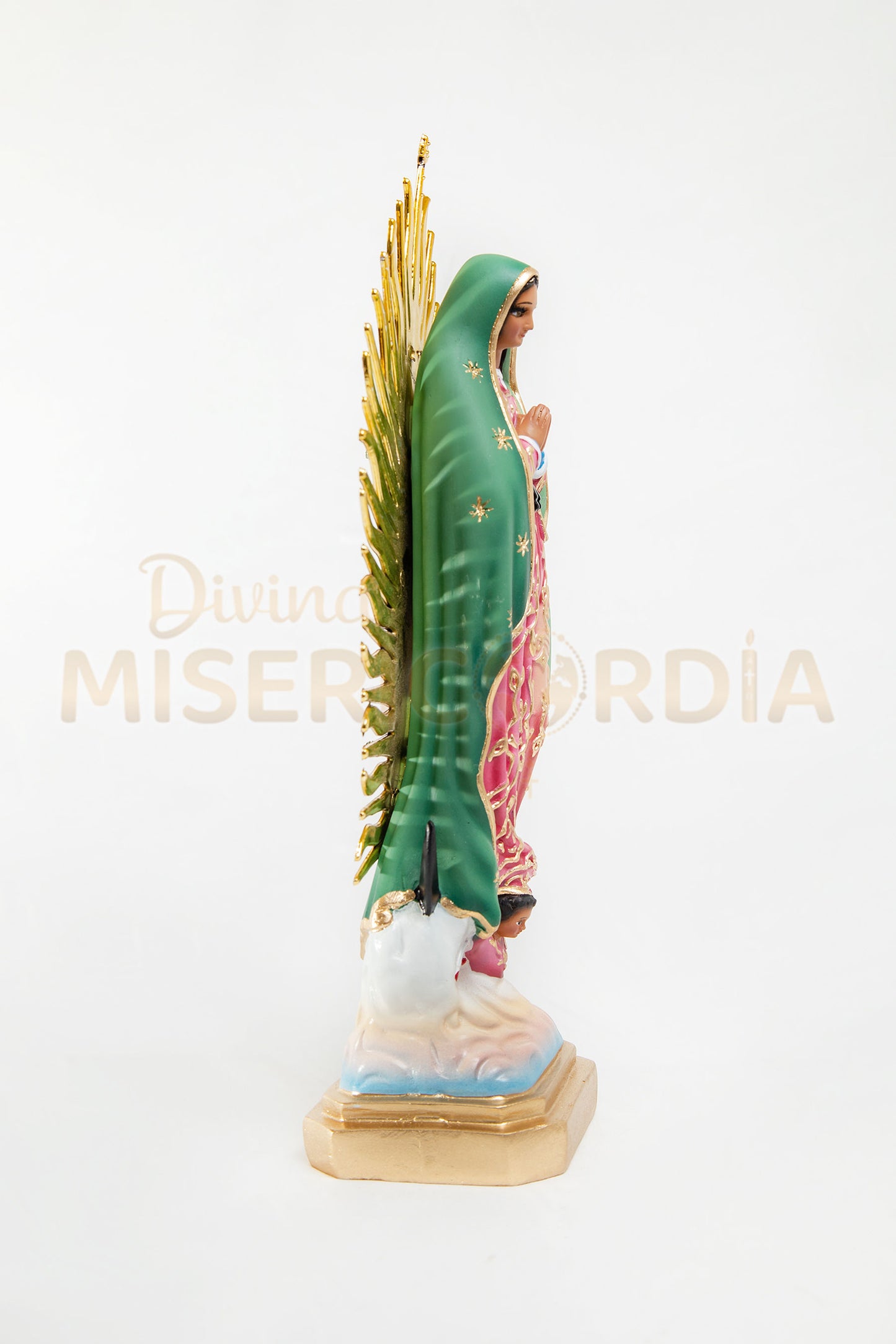 Virgen de Guadalupe 30 RP TE