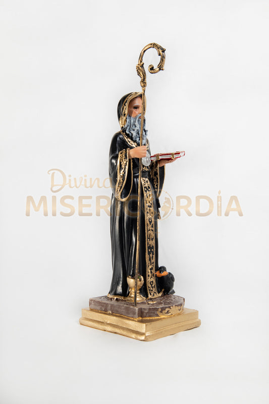 San Benito Abad 30 TE