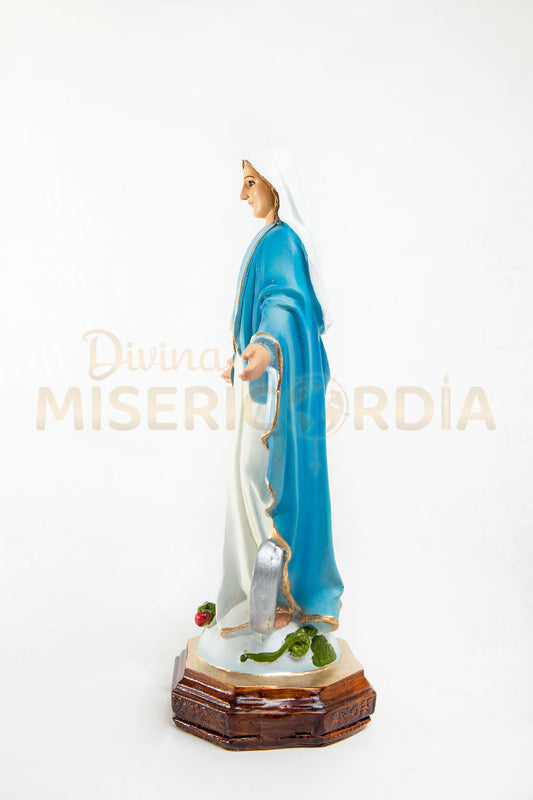 Virgen Milagrosa 30 TV