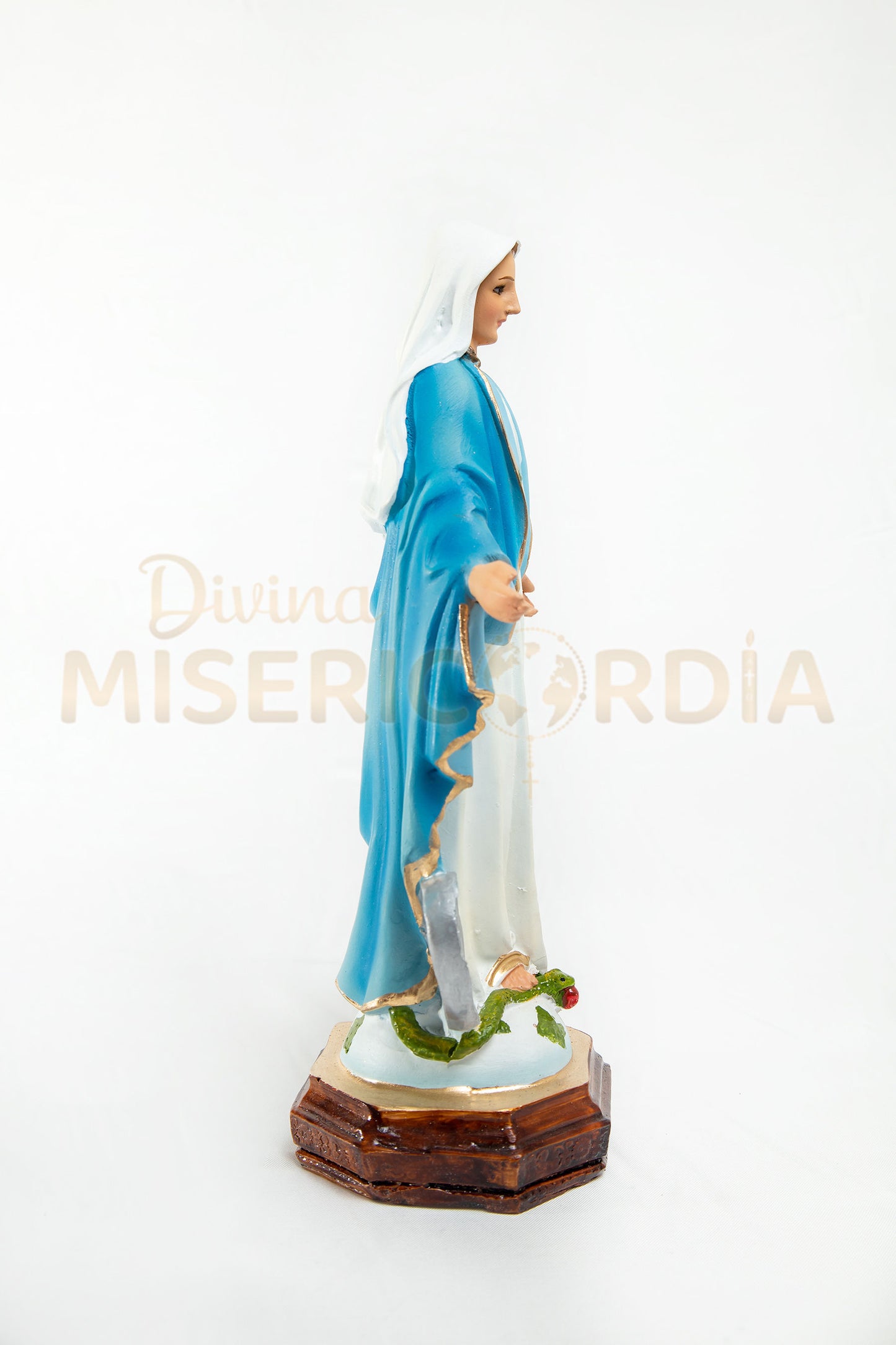Virgen Milagrosa 30 TV