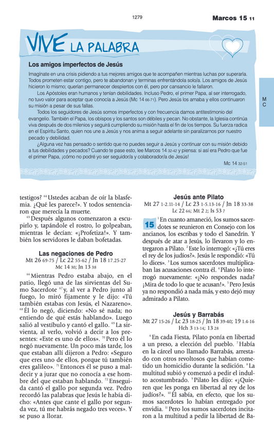 Biblia Catolica para Jovenes Letra Chica BN