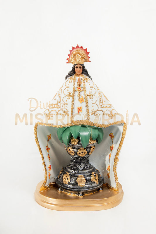 Virgen de Juquila 30 TE