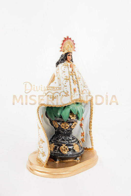 Virgen de Juquila 30 TE
