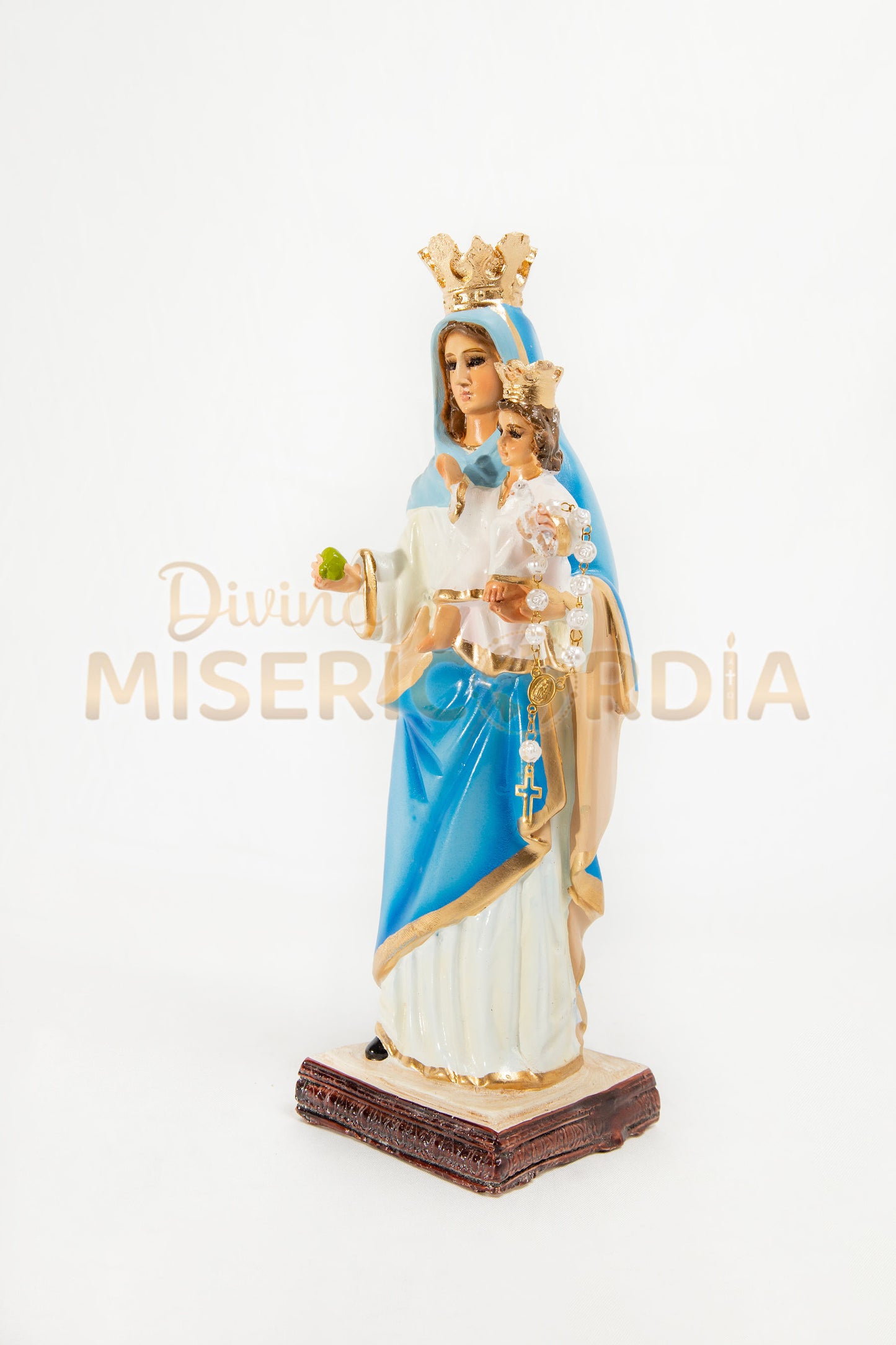 Virgen del Rosario TV
