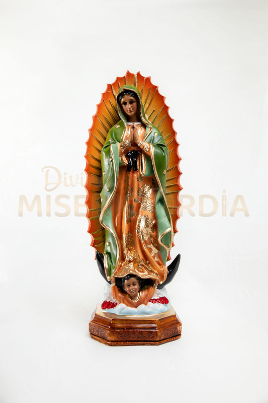 Virgen de Guadalupe 30 RR TV