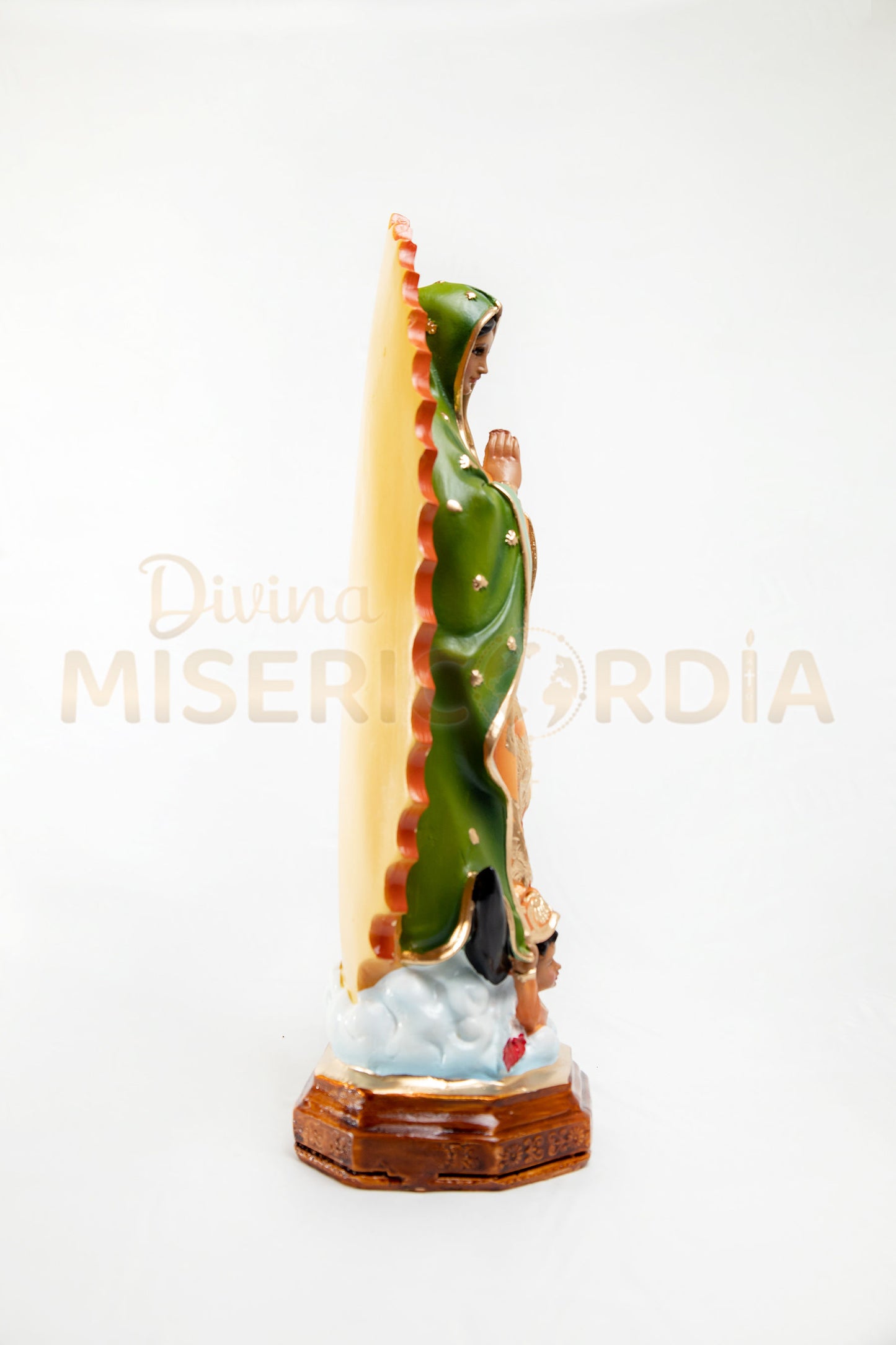 Virgen de Guadalupe 30 RR TV