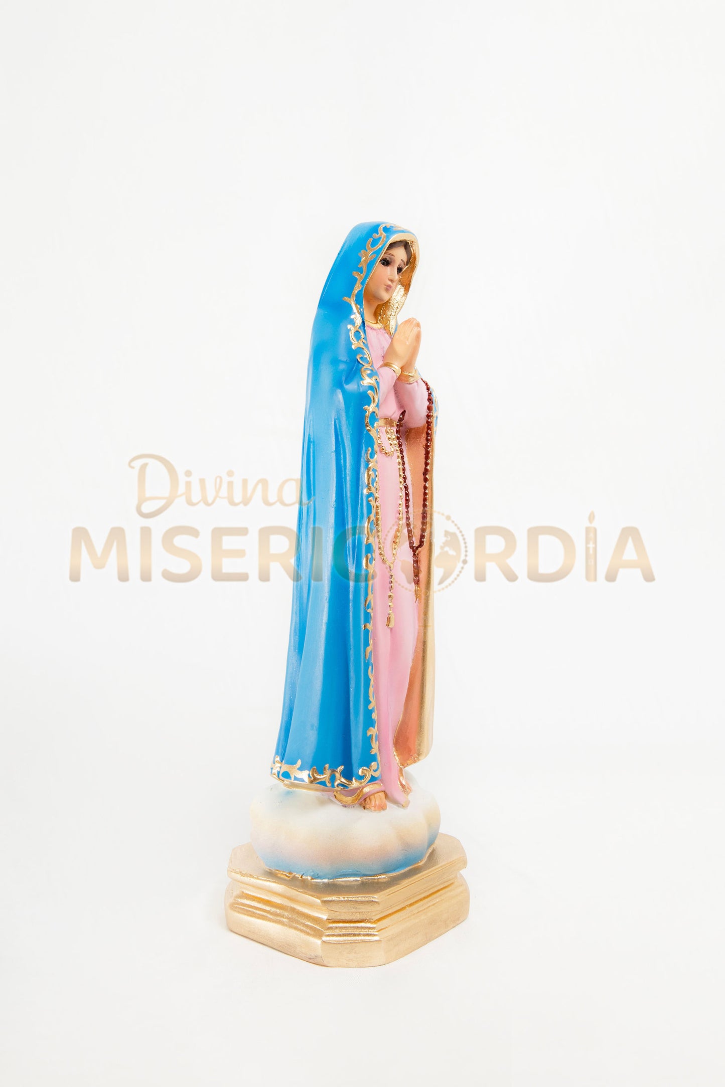 Virgen del Rosario TE