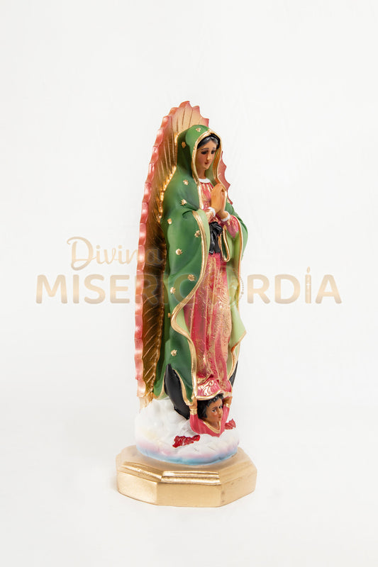Virgen de Guadalupe 30 RR TE