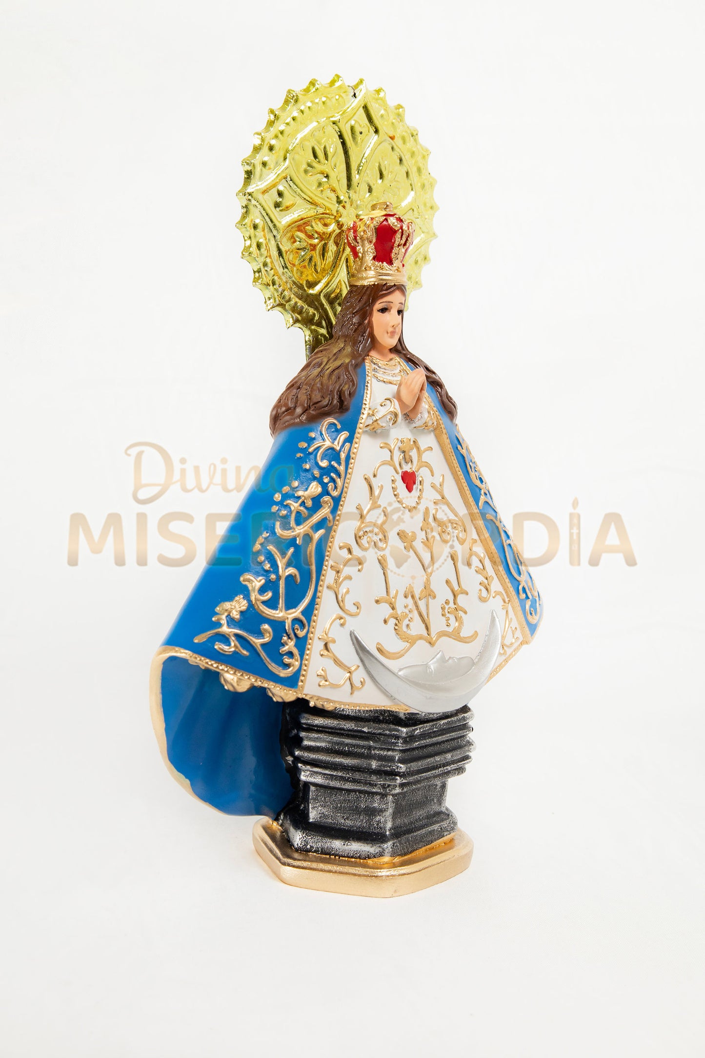 Virgen de la Salud IR 30 TE