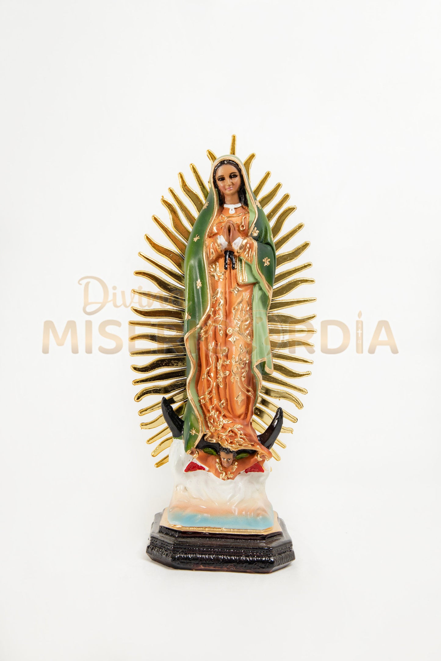 Virgen de Guadalupe 30 RP TV