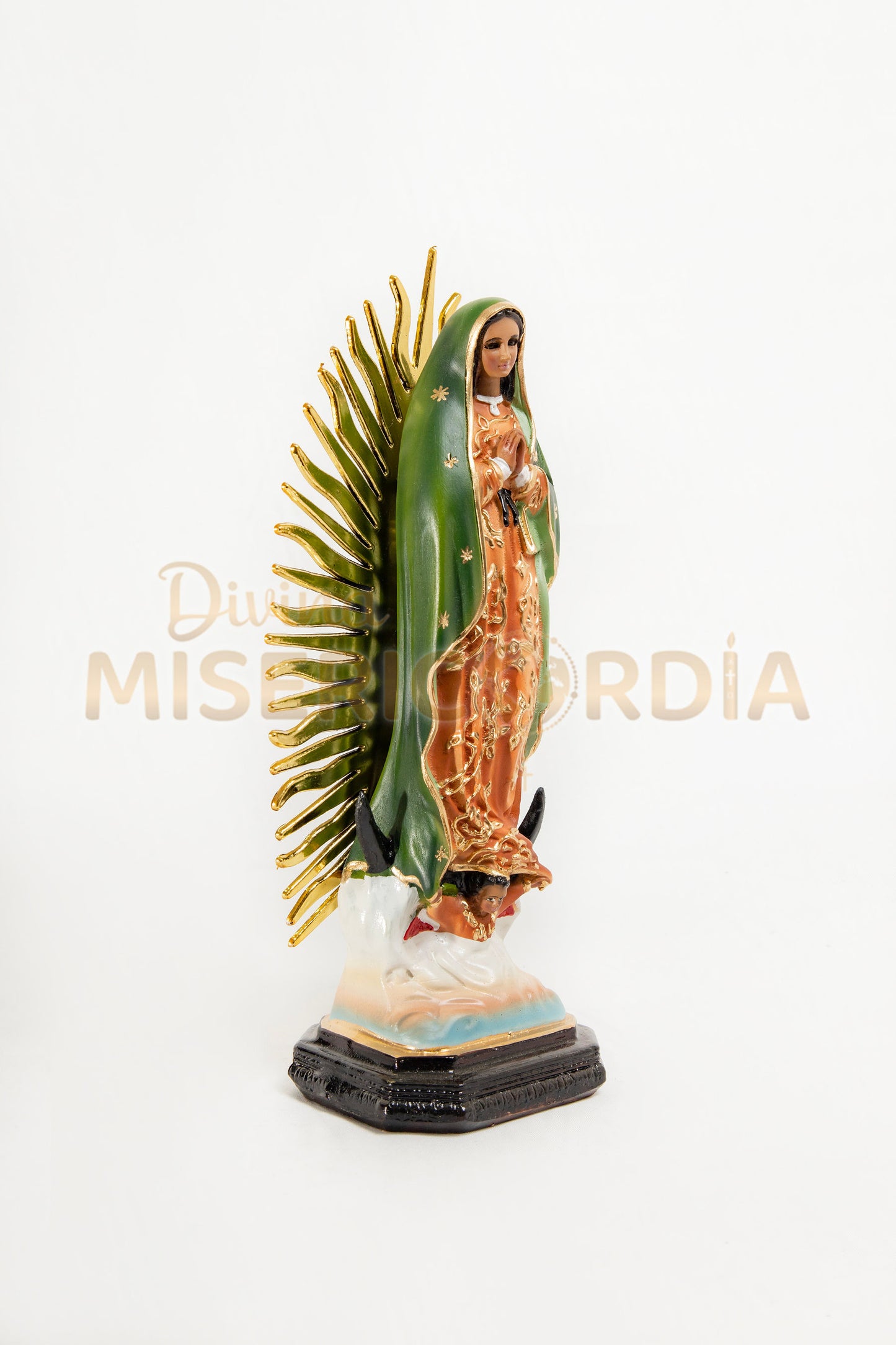 Virgen de Guadalupe 30 RP TV