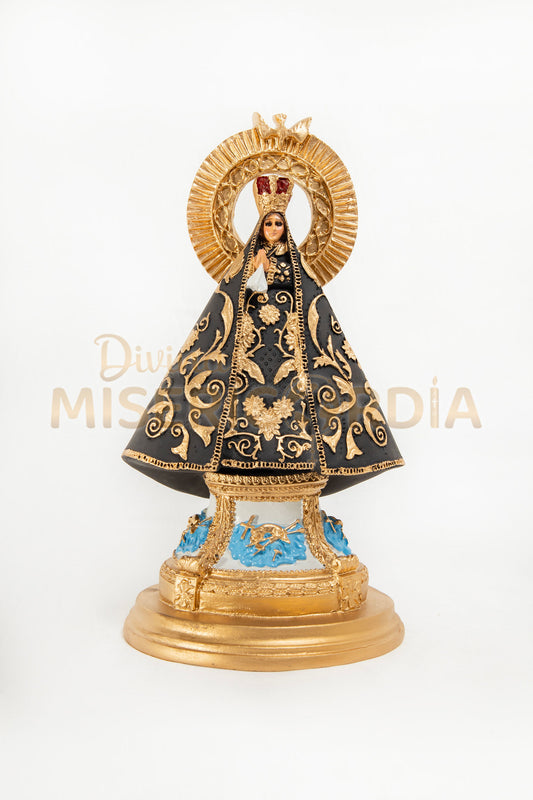 Virgen de la Soledad IR 30 TE