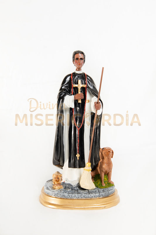 San Martín de Porres 30 TE