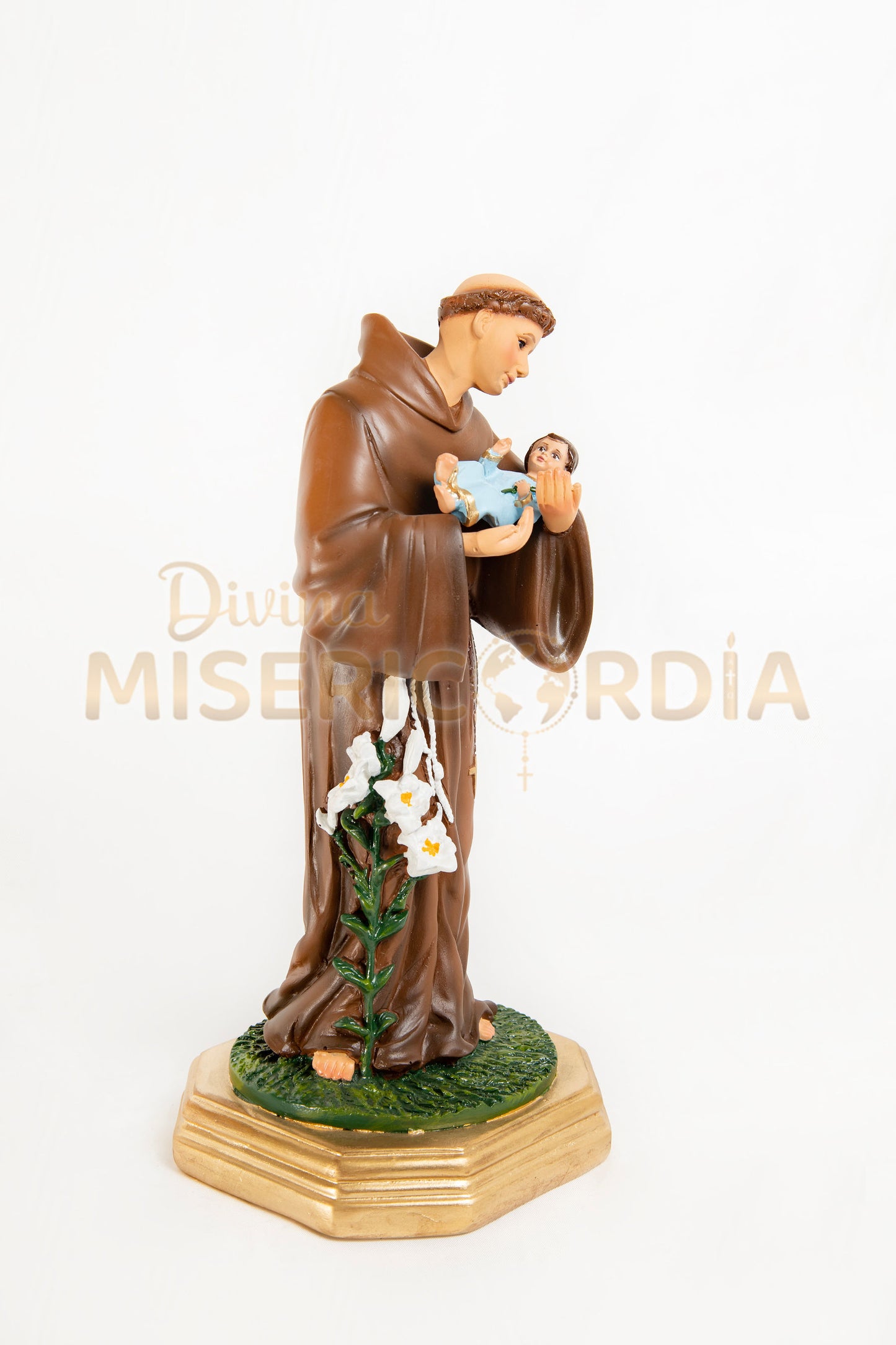 San Antonio Padua 30 TE