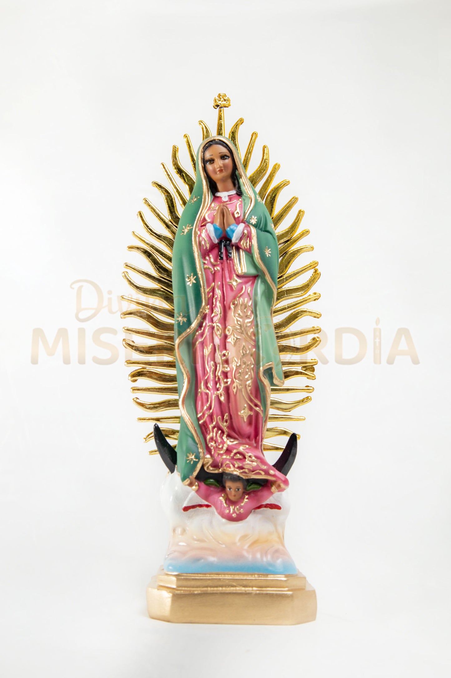 Virgen de Guadalupe 30 RP TE