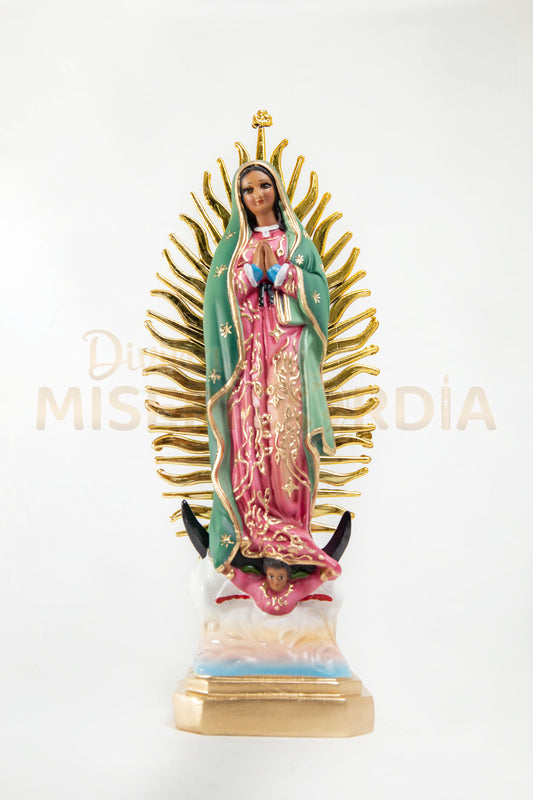 Virgen de Guadalupe 30 RP TE