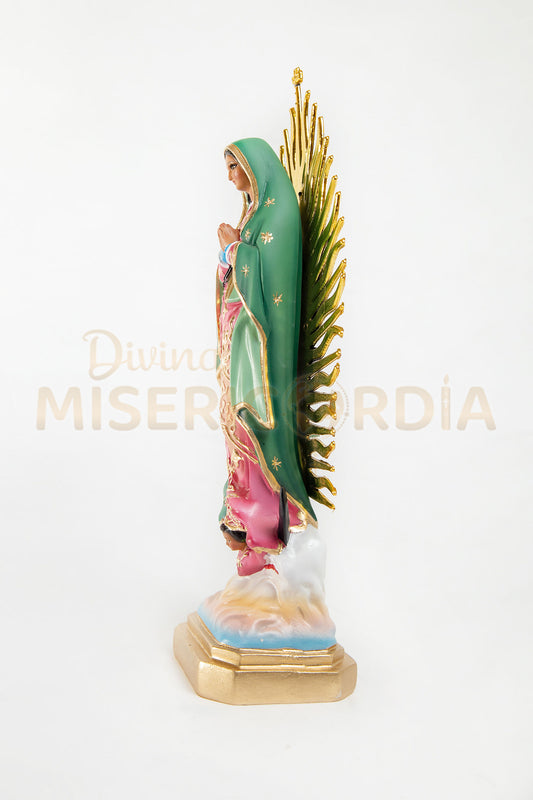 Virgen de Guadalupe 30 RP TE