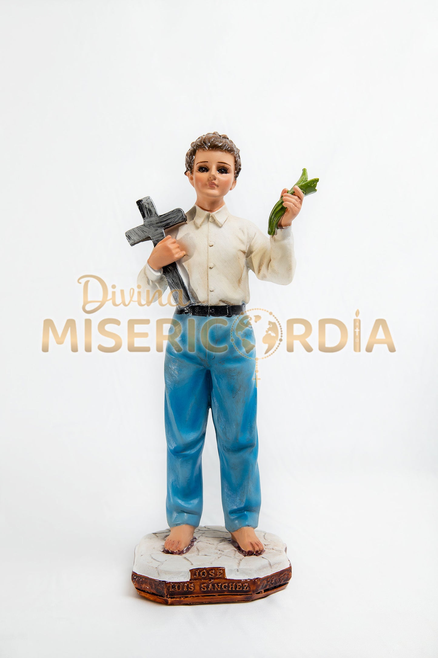 San Jose Sanchez del Río 30 TV