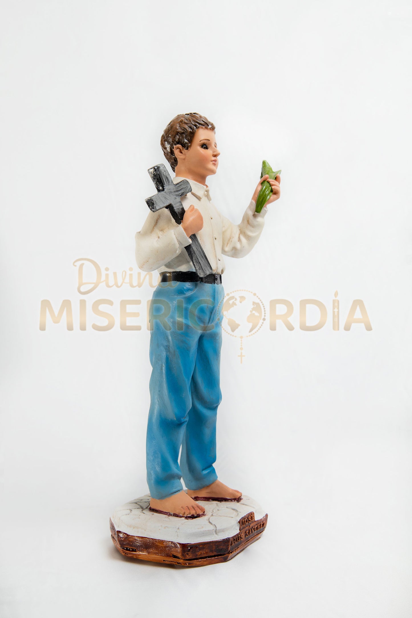 San Jose Sanchez del Río 30 TV