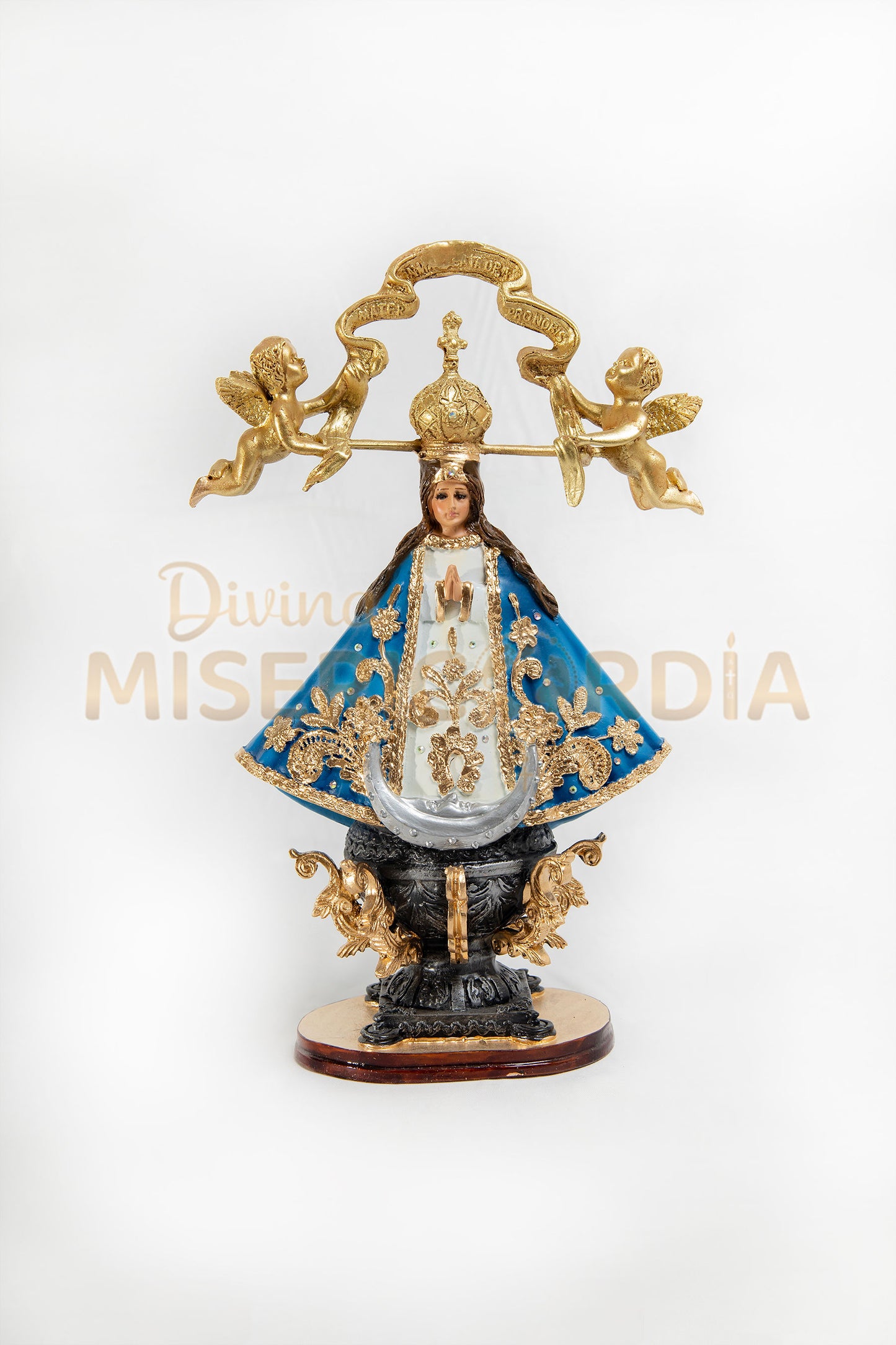 San Juan de los Lagos 30 TV