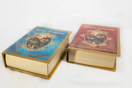 Velas Divina Providencia Libro SM