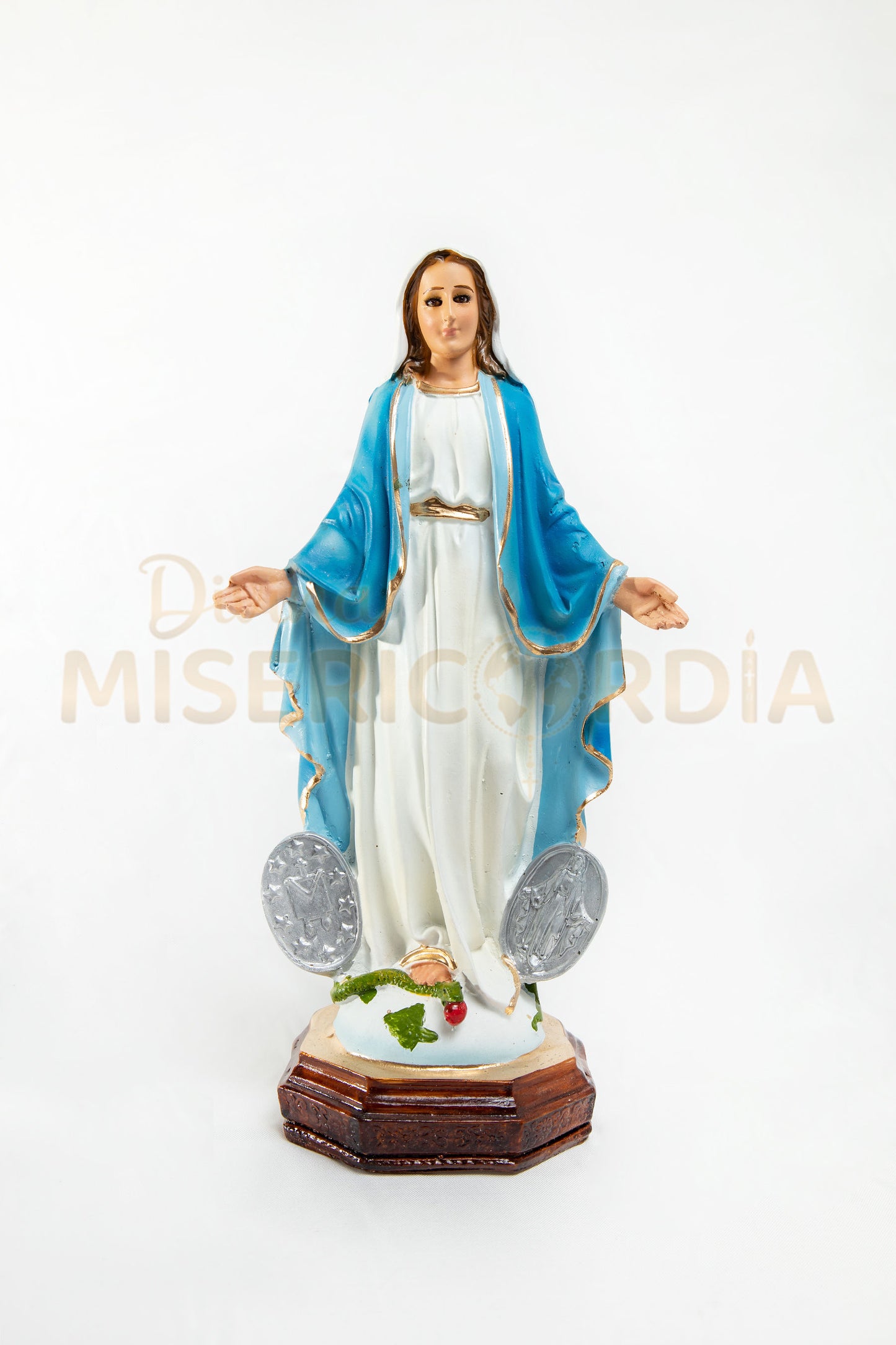 Virgen Milagrosa 30 TV