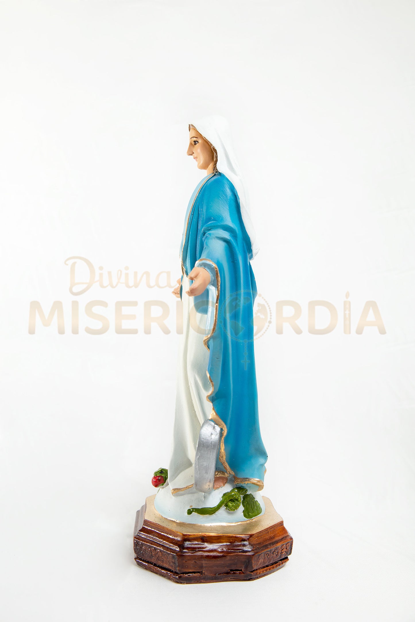 Virgen Milagrosa 30 TV