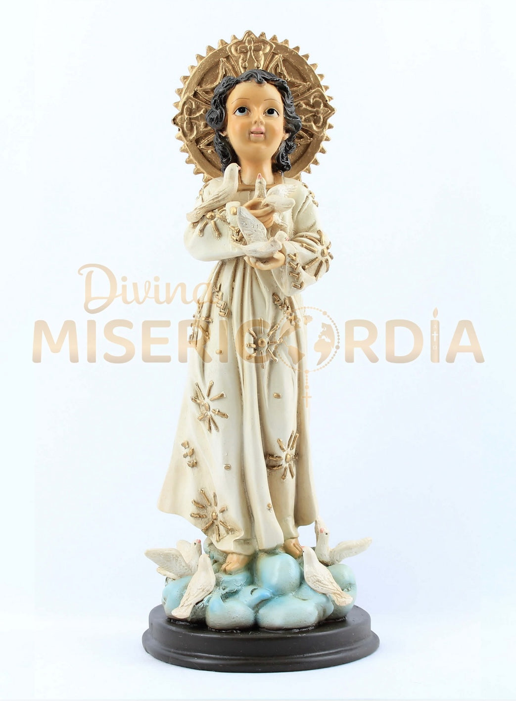 Niño de las Palomas